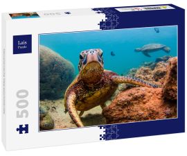 Lais Puzzle - Hawaiianische Meeresschildkröte - 500 Teile