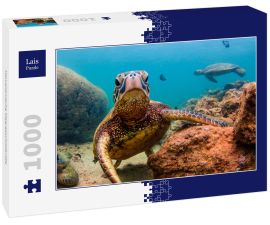Lais Puzzle - Hawaiianische Meeresschildkröte - 1.000 Teile