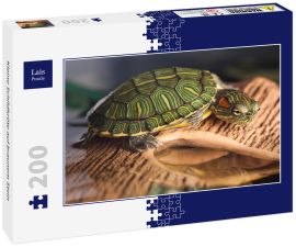 Lais Puzzle - Kleine Schildkröte auf braunem Stein - 200 Teile