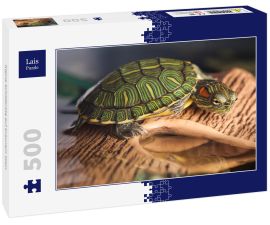 Lais Puzzle - Kleine Schildkröte auf braunem Stein - 500 Teile