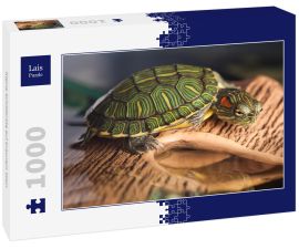 Lais Puzzle - Kleine Schildkröte auf braunem Stein - 1.000 Teile