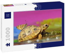 Lais Puzzle - Schmetterling auf Schildkröte - 1.000 Teile