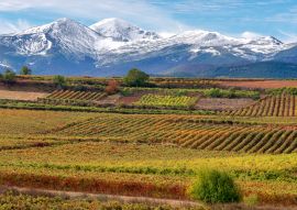 Lais Puzzle - Weinberge mit San Lorenzo Berg als Hintergrund, La Rioja, Spanien - 100, 200, 500 & 1.000 Teile