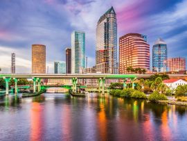 Lais Puzzle - Tampa, Florida - 500 & 1.000 Teile