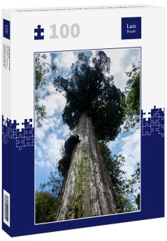 Lais Puzzle - Tausendjährige Lärche im Alerce Andino Nationalpark - 100 Teile