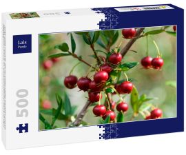 Lais Puzzle - Süße wilde Früchte, die im Süden Chiles wachsen und als Murta bekannt sind. Ihr wissenschaftlicher Name ist Ugni Molinae - 500 Teile