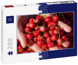 Lais Puzzle - Süße wilde Früchte, die im Süden Chiles wachsen und als Murta bekannt sind. Ihr wissenschaftlicher Name ist Ugni Molinae - 200 Teile