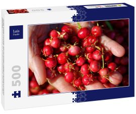 Lais Puzzle - Süße wilde Früchte, die im Süden Chiles wachsen und als Murta bekannt sind. Ihr wissenschaftlicher Name ist Ugni Molinae - 500 Teile