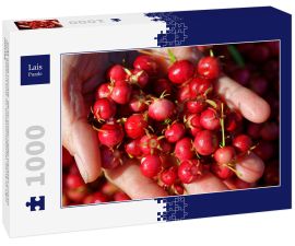 Lais Puzzle - Süße wilde Früchte, die im Süden Chiles wachsen und als Murta bekannt sind. Ihr wissenschaftlicher Name ist Ugni Molinae - 1.000 Teile