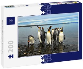 Lais Puzzle - Magellan-Pinguine in Feuerland - 200 Teile