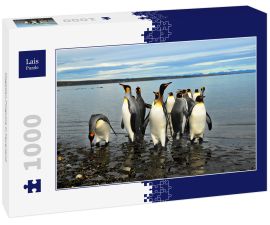 Lais Puzzle - Magellan-Pinguine in Feuerland - 1.000 Teile
