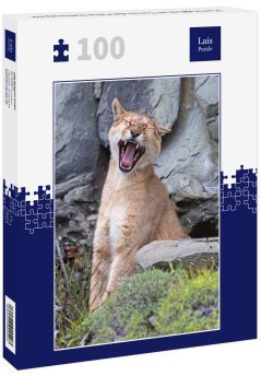 Lais Puzzle - Puma gähnt im Torres del Paine Nationalpark - 100 Teile