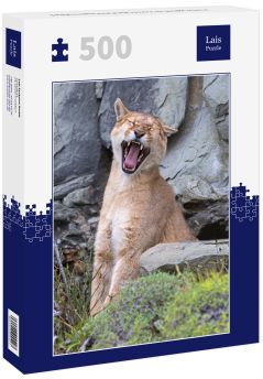 Lais Puzzle - Puma gähnt im Torres del Paine Nationalpark - 500 Teile