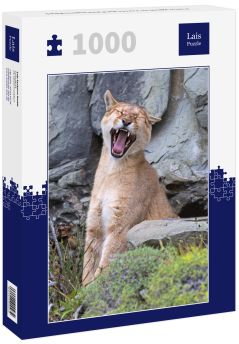 Lais Puzzle - Puma gähnt im Torres del Paine Nationalpark - 1.000 Teile