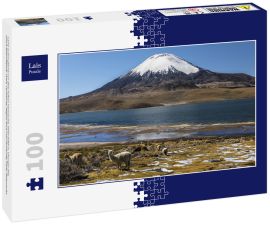 Lais Puzzle - Lama (Lama glama) vor dem Vulkan Parinacota, Höhe 6348 m, Chungar-See, Lauca-Nationalpark, Putre, Parinacota, Region Arica und Parinacota, Chile, Südamerika - 100 Teile