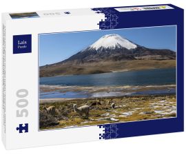 Lais Puzzle - Lama (Lama glama) vor dem Vulkan Parinacota, Höhe 6348 m, Chungar-See, Lauca-Nationalpark, Putre, Parinacota, Region Arica und Parinacota, Chile, Südamerika - 500 Teile