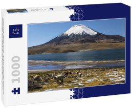 Lais Puzzle - Lama (Lama glama) vor dem Vulkan Parinacota, Höhe 6348 m, Chungar-See, Lauca-Nationalpark, Putre, Parinacota, Region Arica und Parinacota, Chile, Südamerika - 1.000 Teile