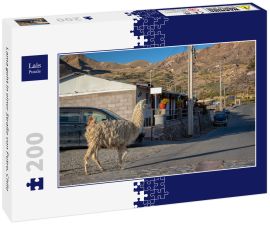 Lais Puzzle - Lama geht in einer Straße von Putre, Chile - 200 Teile