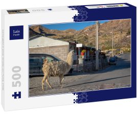 Lais Puzzle - Lama geht in einer Straße von Putre, Chile - 500 Teile