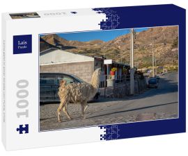 Lais Puzzle - Lama geht in einer Straße von Putre, Chile - 1.000 Teile