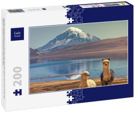 Lais Puzzle - Alpaka (Vicugna pacos), die am Ufer des Chungara-Sees am Fuße des Sajama-Vulkans im Norden Chiles weiden. - 200 Teile