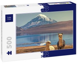 Lais Puzzle - Alpaka (Vicugna pacos), die am Ufer des Chungara-Sees am Fuße des Sajama-Vulkans im Norden Chiles weiden. - 500 Teile