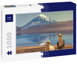 Lais Puzzle - Alpaka (Vicugna pacos), die am Ufer des Chungara-Sees am Fuße des Sajama-Vulkans im Norden Chiles weiden. - 1.000 Teile
