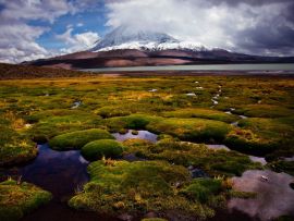 Lais Puzzle - Chile, Lauca-Nationalpark - 500 & 1.000 Teile