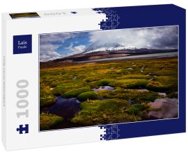 Lais Puzzle - Chile, Lauca-Nationalpark - 1.000 Teile