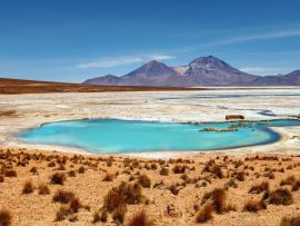 Lais Puzzle - Wunderschöne Landschaft der heißen Quellen Polloquere, in Salt Surire, Isluga Volcano National Park, mehr als 4000 Meter entfernt, Chile - 500 & 1.000 Teile