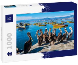 Lais Puzzle - Coquimbo, Chile - 1.000 Teile