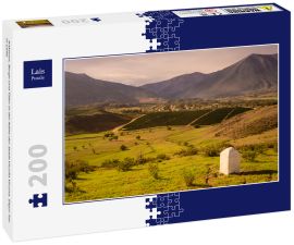 Lais Puzzle - Kakteen, Berge und Täler in der Nähe der Stadt Vicuña Vicuna. Elqui-Tal in Chile - 200 Teile