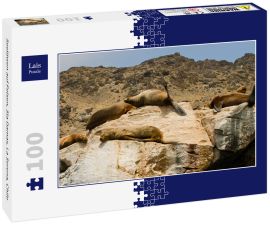 Lais Puzzle - Seelöwen auf Felsen, Sla Damas, La Serena, Chile - 100 Teile