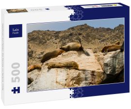 Lais Puzzle - Seelöwen auf Felsen, Sla Damas, La Serena, Chile - 500 Teile