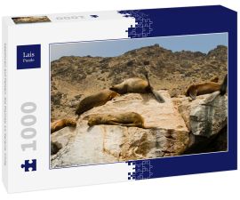Lais Puzzle - Seelöwen auf Felsen, Sla Damas, La Serena, Chile - 1.000 Teile