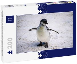 Lais Puzzle - Humboldt-Pinguin alias Spheniscus humboldti ist ein südamerikanischer Pinguin, der hauptsächlich im Nationalreservat Pinguino de Humbold lebt - 200 Teile