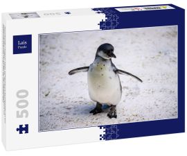 Lais Puzzle - Humboldt-Pinguin alias Spheniscus humboldti ist ein südamerikanischer Pinguin, der hauptsächlich im Nationalreservat Pinguino de Humbold lebt - 500 Teile