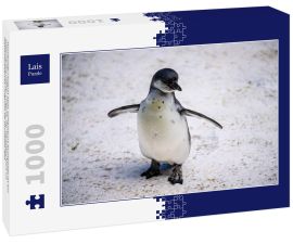 Lais Puzzle - Humboldt-Pinguin alias Spheniscus humboldti ist ein südamerikanischer Pinguin, der hauptsächlich im Nationalreservat Pinguino de Humbold lebt - 1.000 Teile