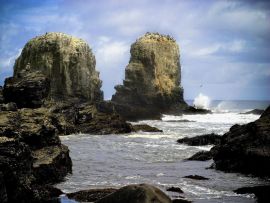 Lais Puzzle - Punta Lobos - Pichilemu - Chile - 500 & 1.000 Teile