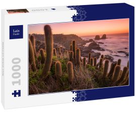 Lais Puzzle - Kaktus am Strand, Chile - 1.000 Teile