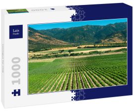 Lais Puzzle - Colchagua Tal, Chile - 1.000 Teile
