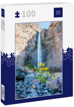 Lais Puzzle - Riesiger Wasserfall in der Wüste. Detail des Wüstenlebens. Antuco Vulkan schwarze Vulkanwüste. Blühende Blumen, Bäume und Steine in der Nähe des Baches. - 100 Teile