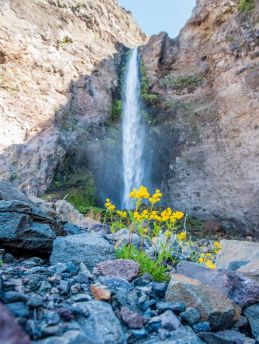 Lais Puzzle - Riesiger Wasserfall in der Wüste. Detail des Wüstenlebens. Antuco Vulkan schwarze Vulkanwüste. Blühende Blumen, Bäume und Steine in der Nähe des Baches. - 500 & 1.000 Teile