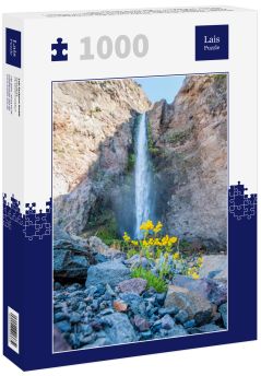 Lais Puzzle - Riesiger Wasserfall in der Wüste. Detail des Wüstenlebens. Antuco Vulkan schwarze Vulkanwüste. Blühende Blumen, Bäume und Steine in der Nähe des Baches. - 1.000 Teile
