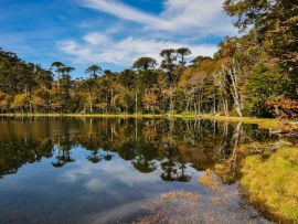 Lais Puzzle - Trekking in Reserva El Cani, in der Nähe von Pucon, Chile - 500 & 1.000 Teile
