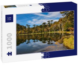 Lais Puzzle - Trekking in Reserva El Cani, in der Nähe von Pucon, Chile - 1.000 Teile