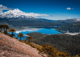 Lais Puzzle - Conguillio Park, Temuco, Chile - 100, 200, 500 & 1.000 Teile