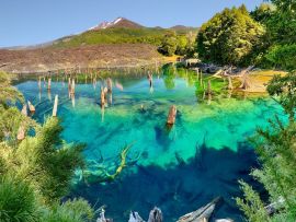 Lais Puzzle - Lago Arcoiris bei Conguillio N.P. (Chile) - 500 & 1.000 Teile