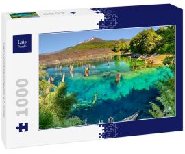 Lais Puzzle - Lago Arcoiris bei Conguillio N.P. (Chile) - 1.000 Teile