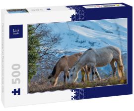 Lais Puzzle - Pferde im biologischen Reservat Huilo Huilo, Chile - 500 Teile